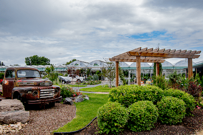 BLUE GRASS SOD, NURSERY & GARDEN CENTRE