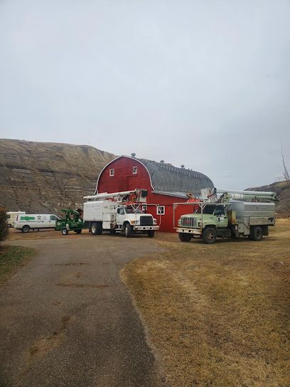 Outlawns Tree Service