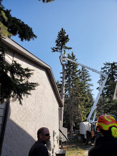 Urban Lumberjack Tree Service